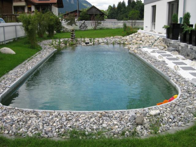 kleiner naturpool